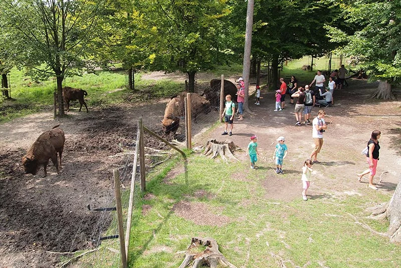 Wildpark Poing